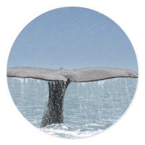 Whale's Tail  Stickers