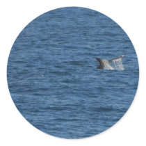 Whales Tails Ocean Round Stickers