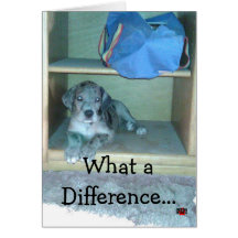 What a Difference A Year Makes!!!! Greeting Cards