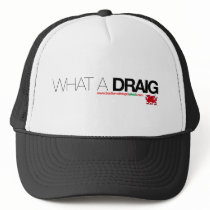 What a Draig...