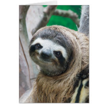 What a Face! Greeting Card