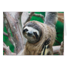 What a Face! Greeting Card