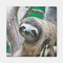 What a Face! Refrigerator Magnet