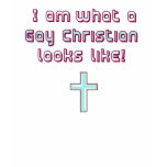 What a Gay Christian Looks Like t-shirts