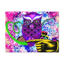 What a Hoot Postcard