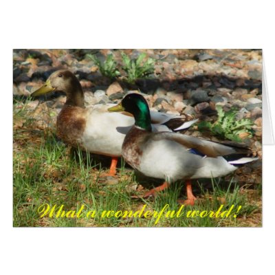 What a wonderful world! greeting cards by BlueSara