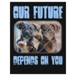 What About Us?  Flyer