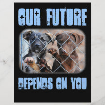 What About Us?  Flyer