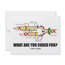 What Are You Coded For? (DNA Replication)