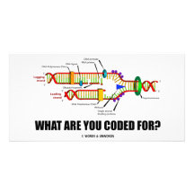 What Are You Coded For? (DNA Replication) Photo Cards