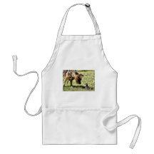 What are you looking at? aprons
