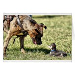 What are you looking at? greeting card