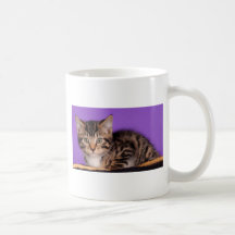 What are you looking at? mug