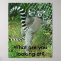 What are you looking at? posters