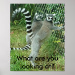 What are you looking at?