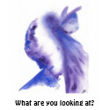 What are you looking at? t-shirts