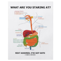 What Are You Staring At Rest Assured I've Got Guts
