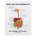 What Are You Staring At Rest Assured I've Got Guts flyers