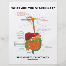 What Are You Staring At Rest Assured I've Got Guts Custom Flyer