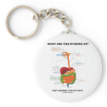 What Are You Staring At Rest Assured I've Got Guts Keychains