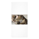 WHAT CATS THINK CUSTOM RACK CARD