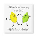 What did the lemon say to the lime... magnets