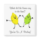 What did the lemon say to the lime... magnets