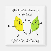 What did the lemon say to the lime... magnet