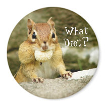 What Diet? Chipmunk Magnet