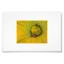 What do I see in the flower bloom? by CR Sinclair Photograph