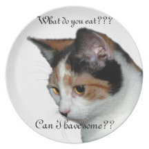 What do you eat party plate