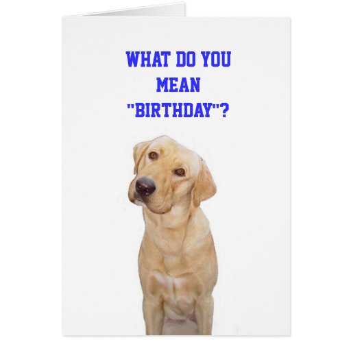 what-do-you-mean-birthday-zazzle