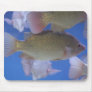 What for Dinner? Mouse Mats
