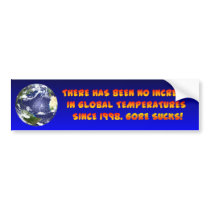 What Global Warming? Bumper Sticker