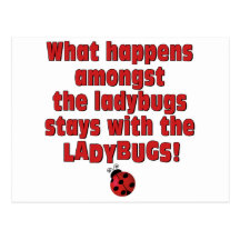 What Happens  . . . Ladybugs Postcard