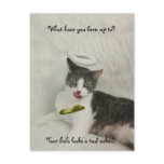 What have you been up to? postcards