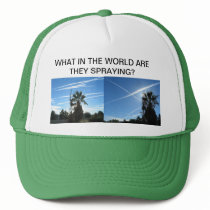 WHAT IN THE WORLD HAT