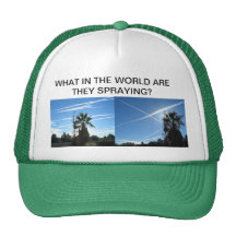 WHAT IN THE WORLD HAT