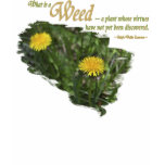 What is a weed T-Shirt