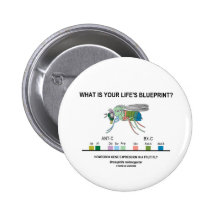 What Is Your Life's Blueprint? (Gene Expression) Pins