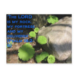 What Lies Beneath the Rocks postcards
