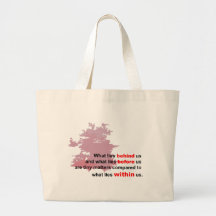 what lies within bags