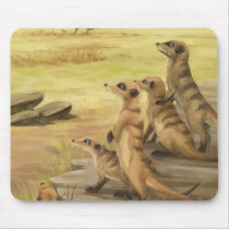 What?! mousepads