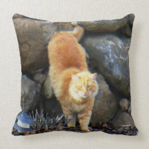 What! Pillow