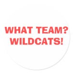 WHAT TEAM? WILDCATS! stickers