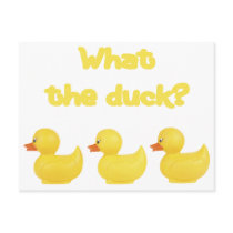 What the Duck?