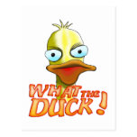 What the Duck! Postcard