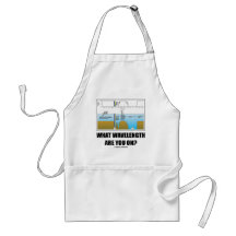 What Wavelength Are You On? (Electromagnetism) Apron