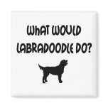 What Would Labradoodle Do? T-shirts & Gifts magnets