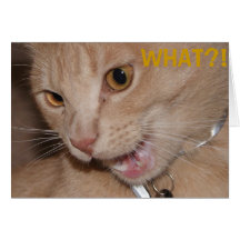 WHAT?! You're THAT old?! Greeting Cards